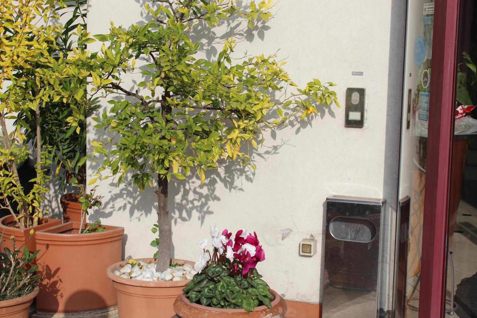 Arcangelo Roof Hotel Rímini Exterior foto